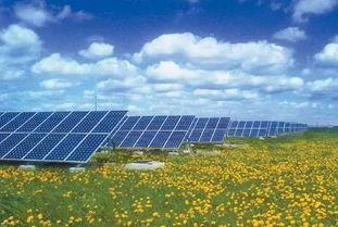 臺州這幾個行業(yè)受美國貿(mào)易戰(zhàn)直接沖擊 轉(zhuǎn)戰(zhàn)乎