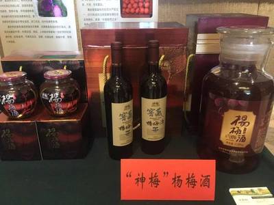 臺(tái)州市特色農(nóng)產(chǎn)品暨重點(diǎn)農(nóng)業(yè)招商項(xiàng)目推介會(huì)在南京召開(kāi)