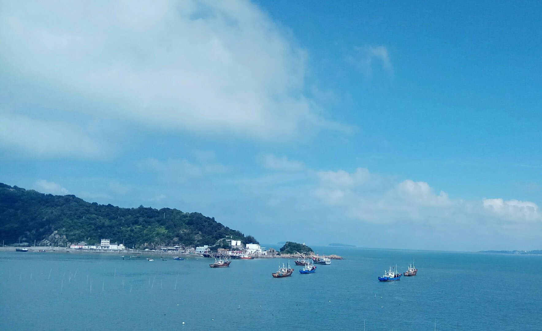 探訪臺州玉環(huán)縣大麥嶼街道龍灣村 鄉(xiāng)村振興的基層實踐